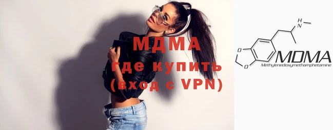индика Вяземский