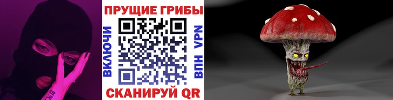 darknet Telegram Краснотурьинск Псилоцибиновые грибы GOLDEN TEACHER