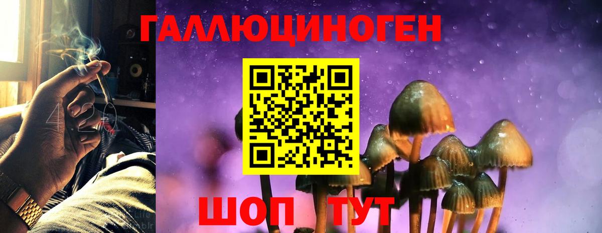 Псилоцибиновые грибы MAGIC MUSHROOMS Краснотурьинск